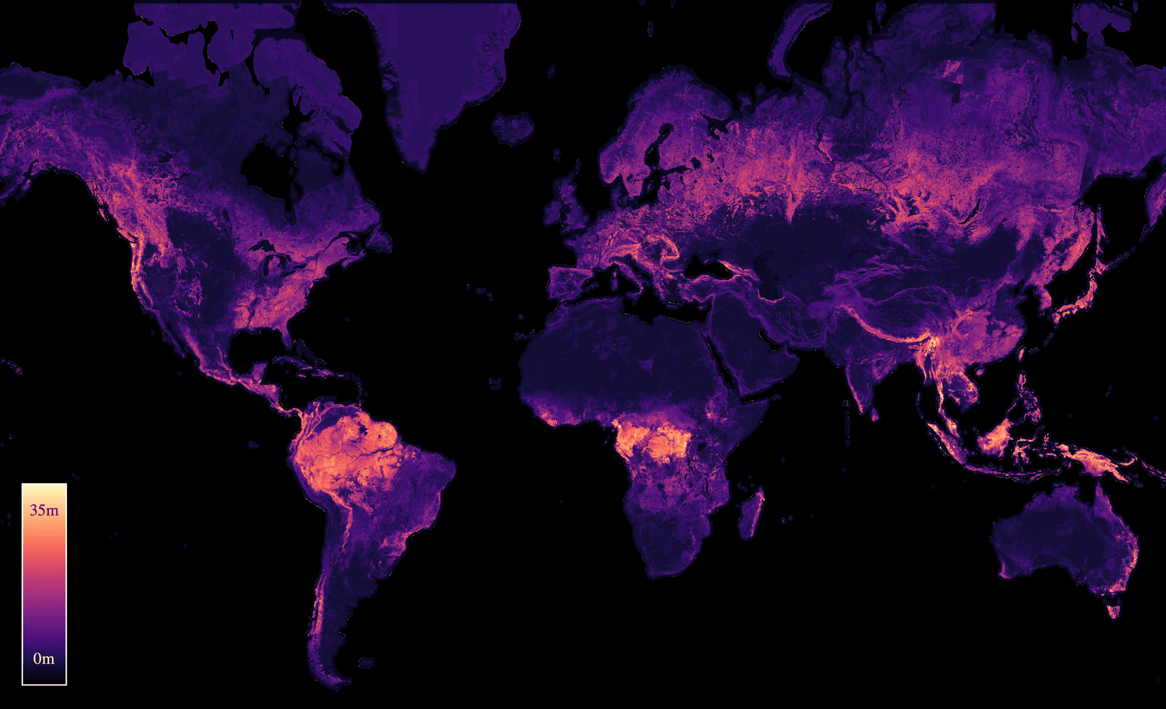 global_canopy_height.png