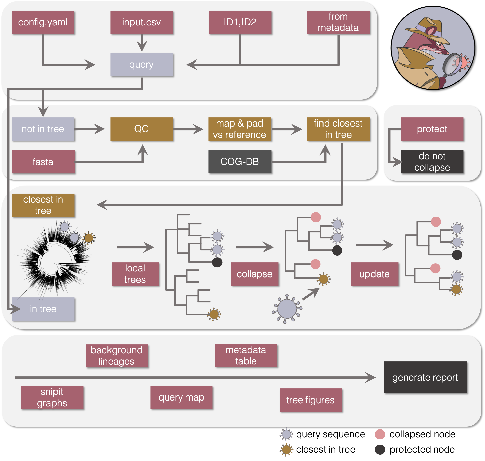 workflow_diagram.png