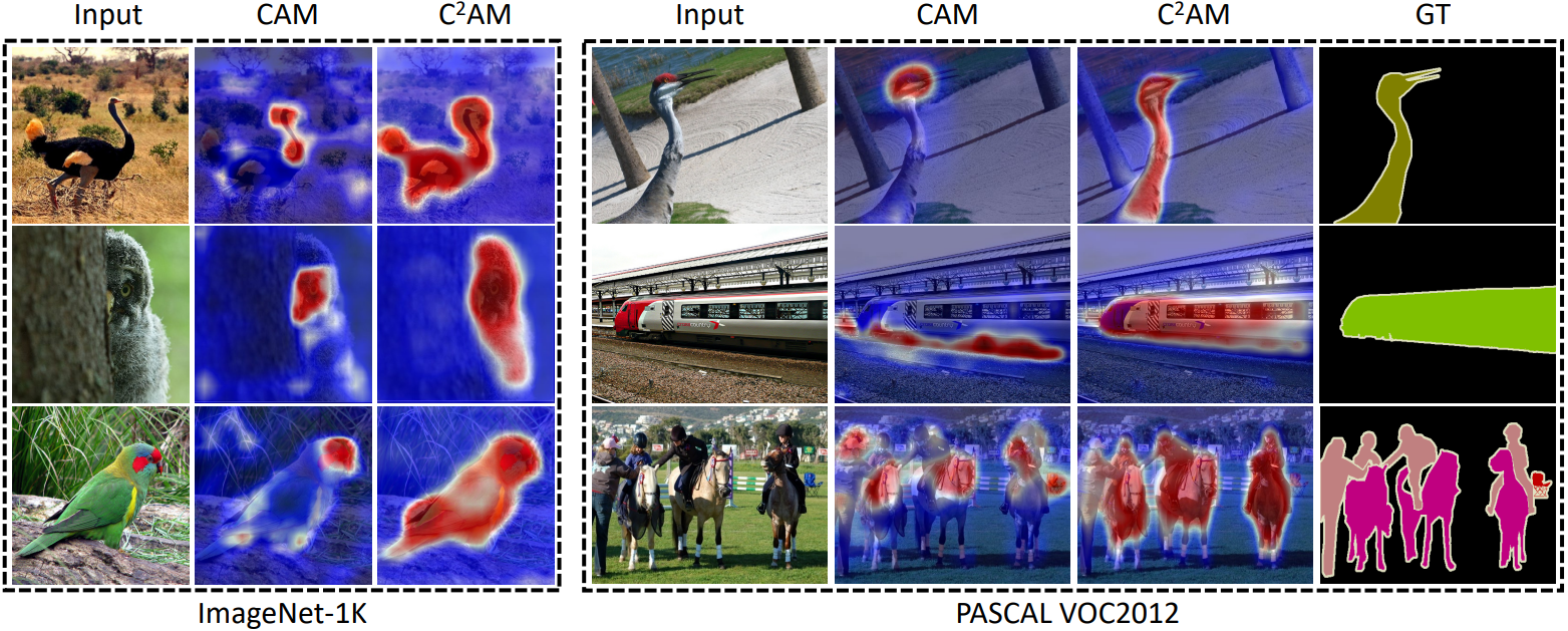 CCAM_Heatmap.png