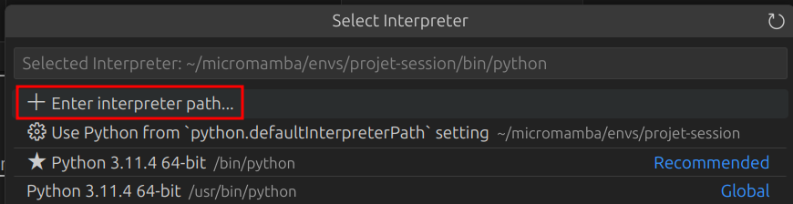 vscode_enter_interp_path.png