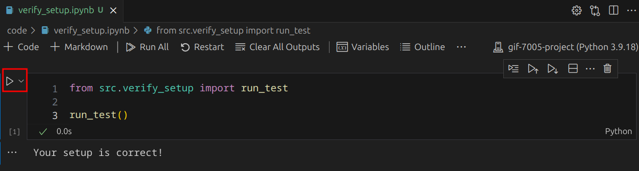 vscode_verify_setup.png