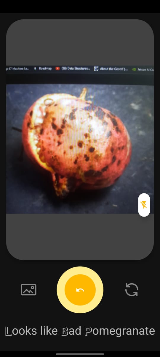 bad_pomegranate.jpg