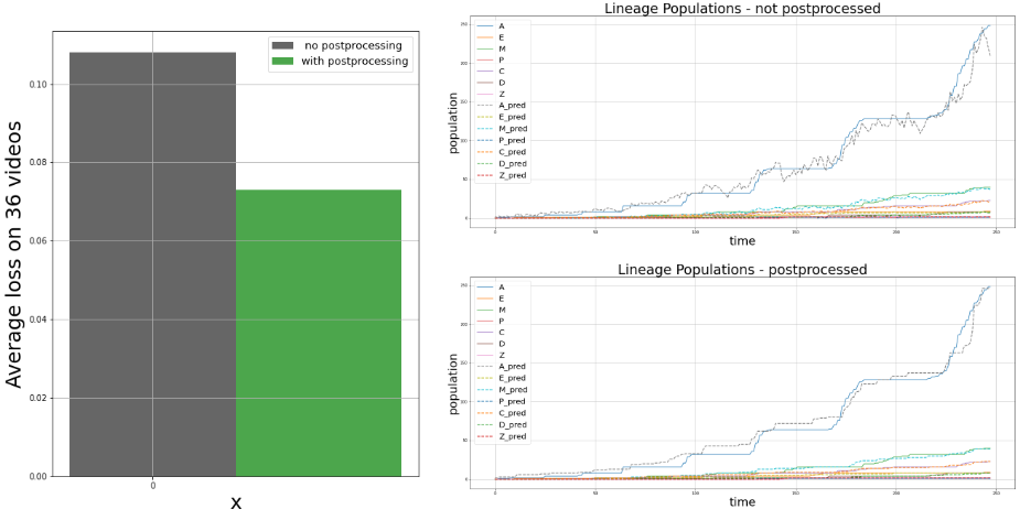 postprocess_lineage_population_1.png