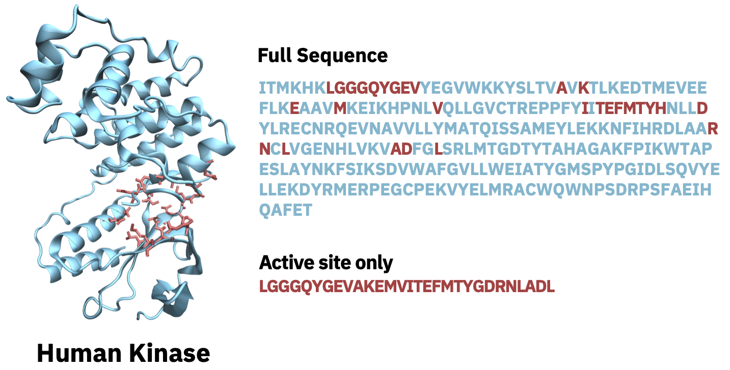 full_vs_active_site.png