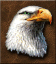 Basic_Eagle_Eye.png