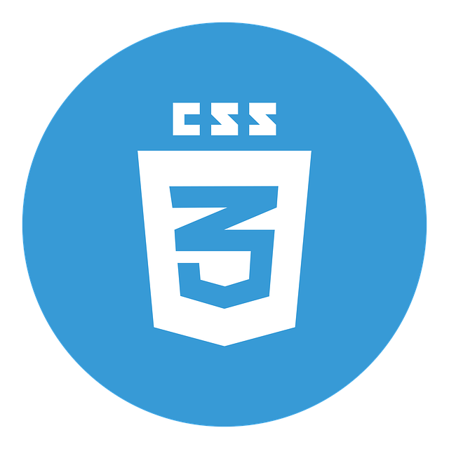 css.png