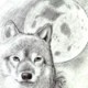 @moonwolf-github