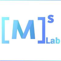 @mindspore-lab