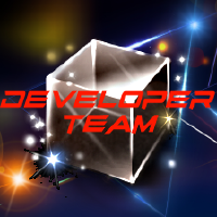 @Developer-Team-Organization