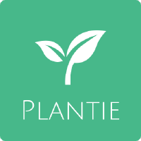 @PlantieTeam