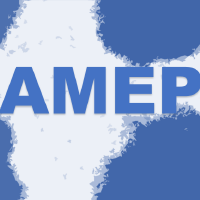 @amepproject