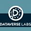 @dataverse-labs-ai