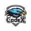@codex-team