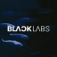 @BlackLabs-Team