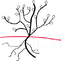 @Computational-Plant-Science