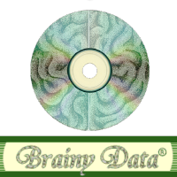 @BrainyData