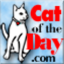 @cat-of-the-day-newtab
