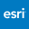 Esri Member