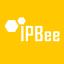 @IPBee-GmbH