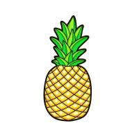 @pineapple-cash