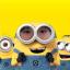 @MINIONS-KR