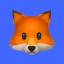 @The-Coding-Foxes