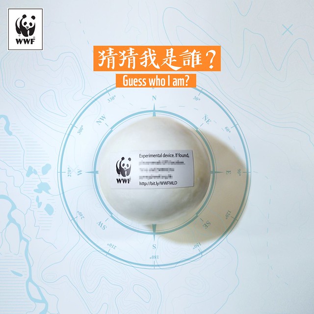 wwf-logo-coconut