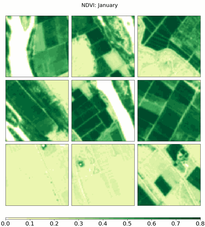 NDVI through time (in March you can see artefacts that result from the cloud masking and interpolation)