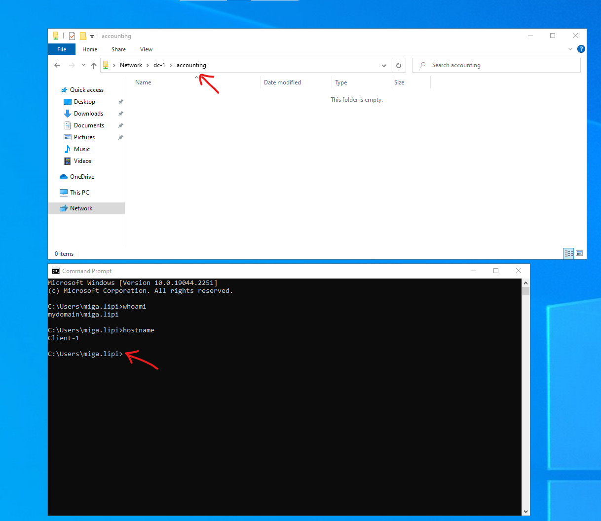 Disk Sanitization Steps