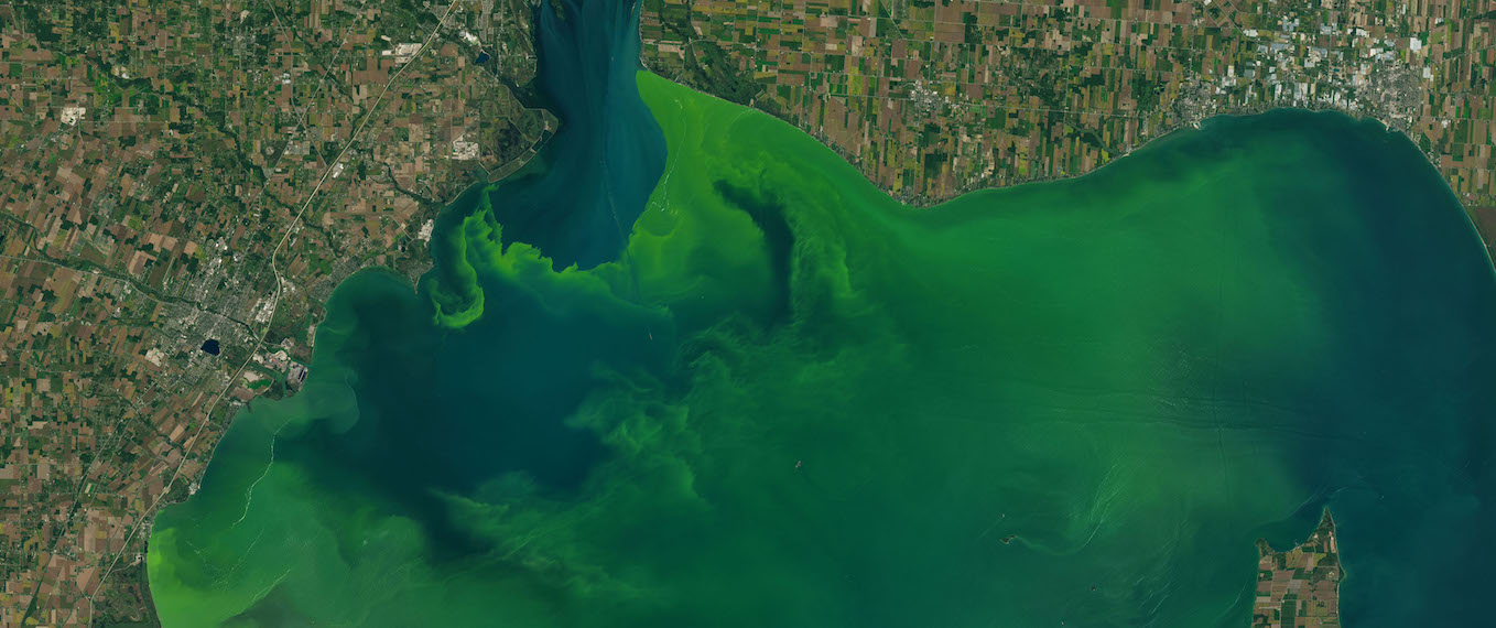 2017 algal bloom in Lake Erie seen as bright green splotches, captured by the NASA/USGS Landsat mission