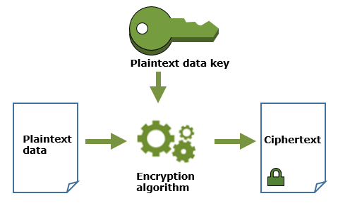 Data encryption with plaintext data key
