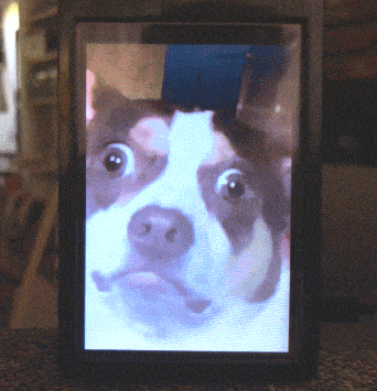 PiFrame example showing an animated gif on a 3.5 inch screen