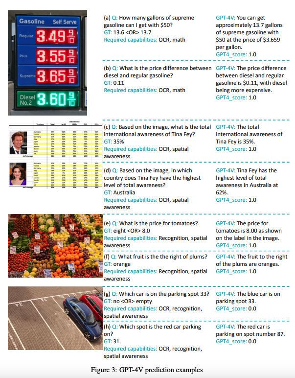 GPT-4V prediction examples