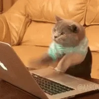 Cat coding