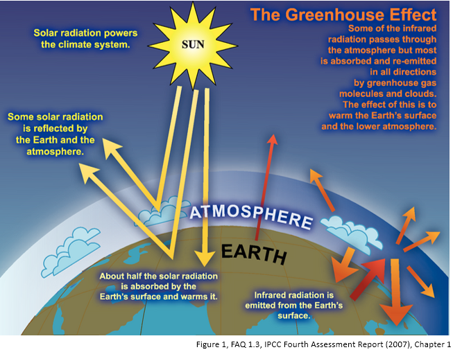 Greenhouse Effect