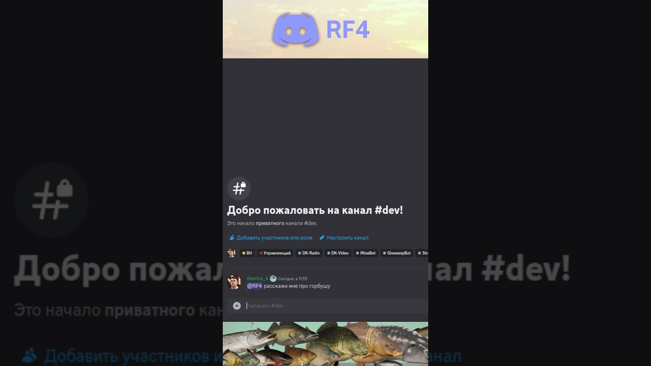 RF4 discord bot