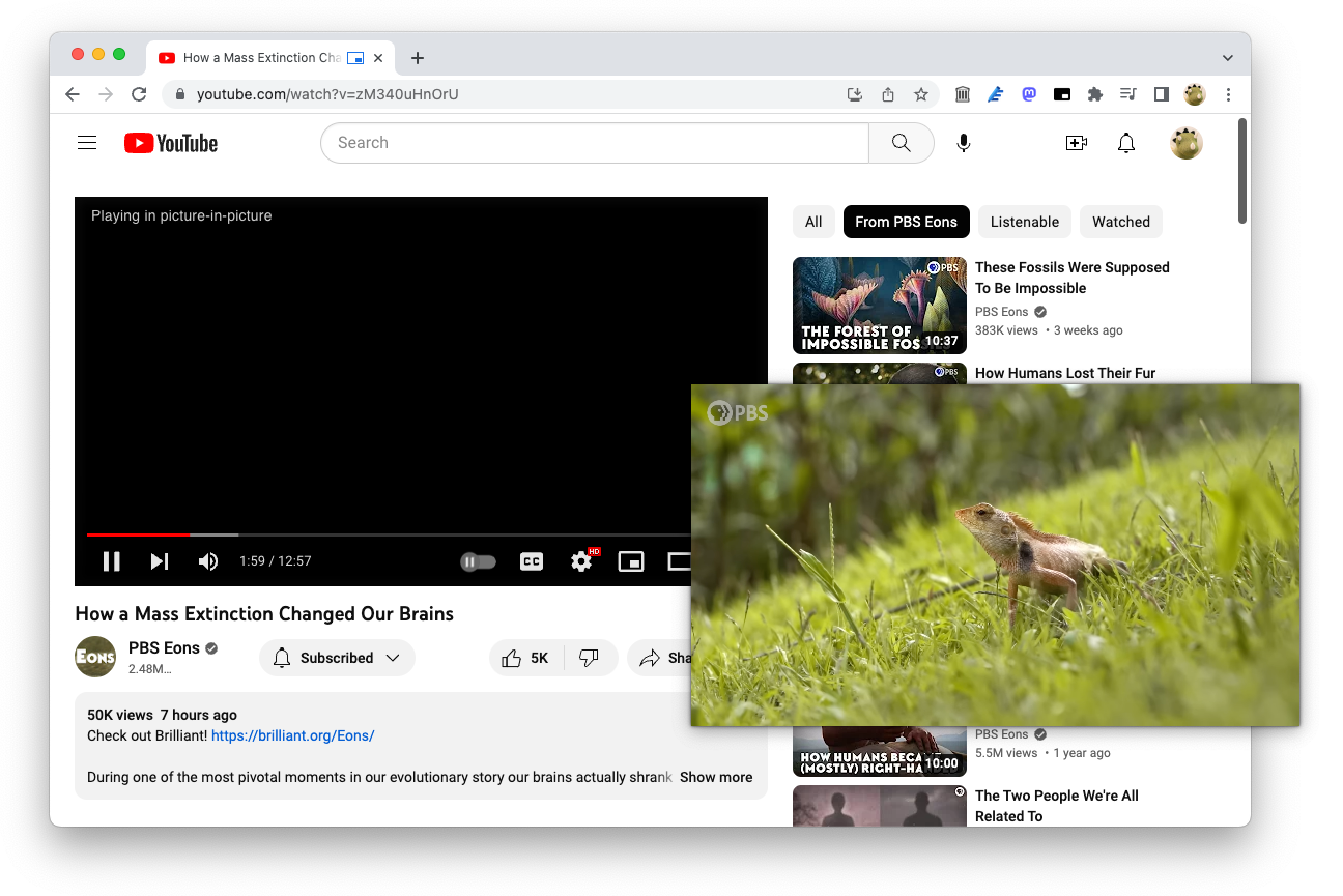 Screenshot of extension in Google Chrome
