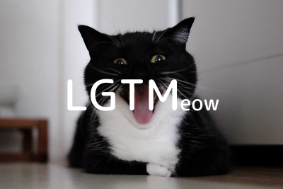 LGTMeow