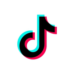 TikTok Expert: Buy TikTok Followers