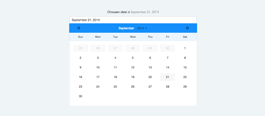 Angular datepicker calendar