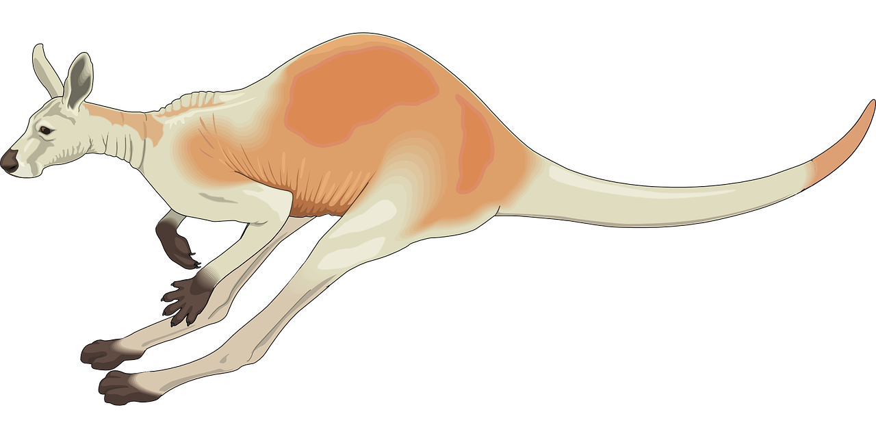 roo.png