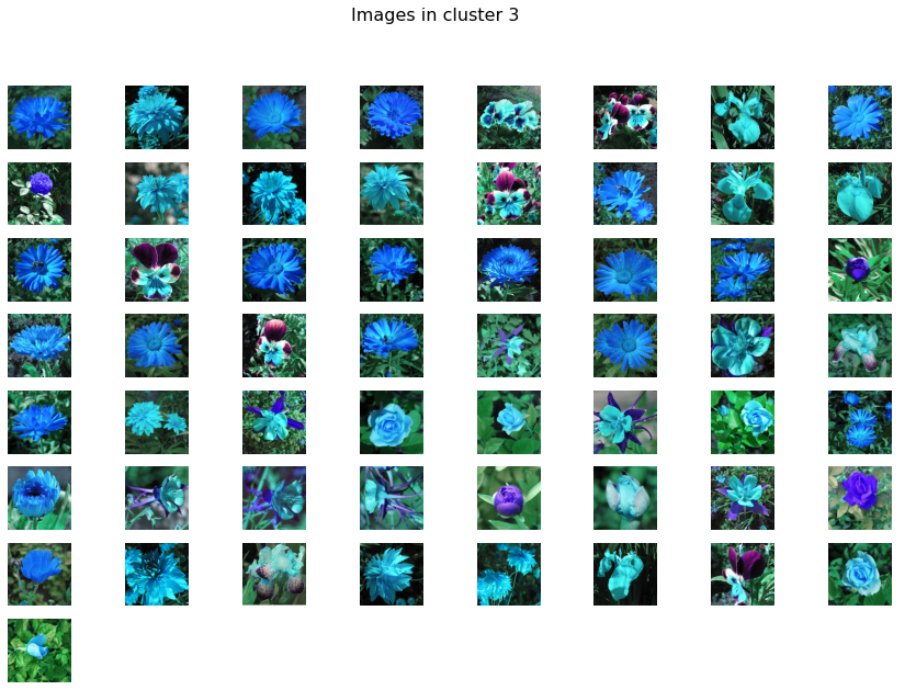 flowers_cluster3.png