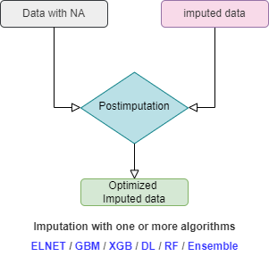 flowchart_optimization.png