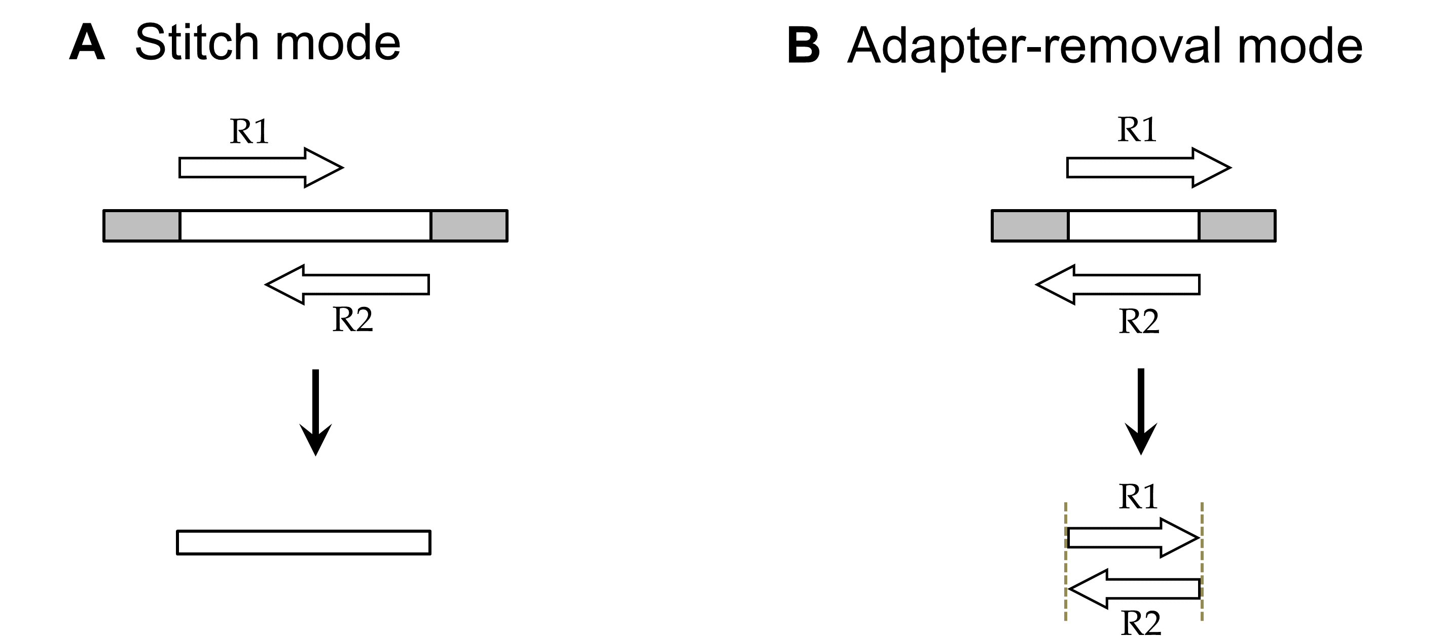 figure1.png