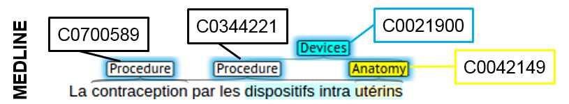 QUAERO French Medical Corpus.jpeg