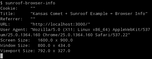 browser-info example