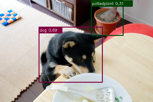 detection_dog.png