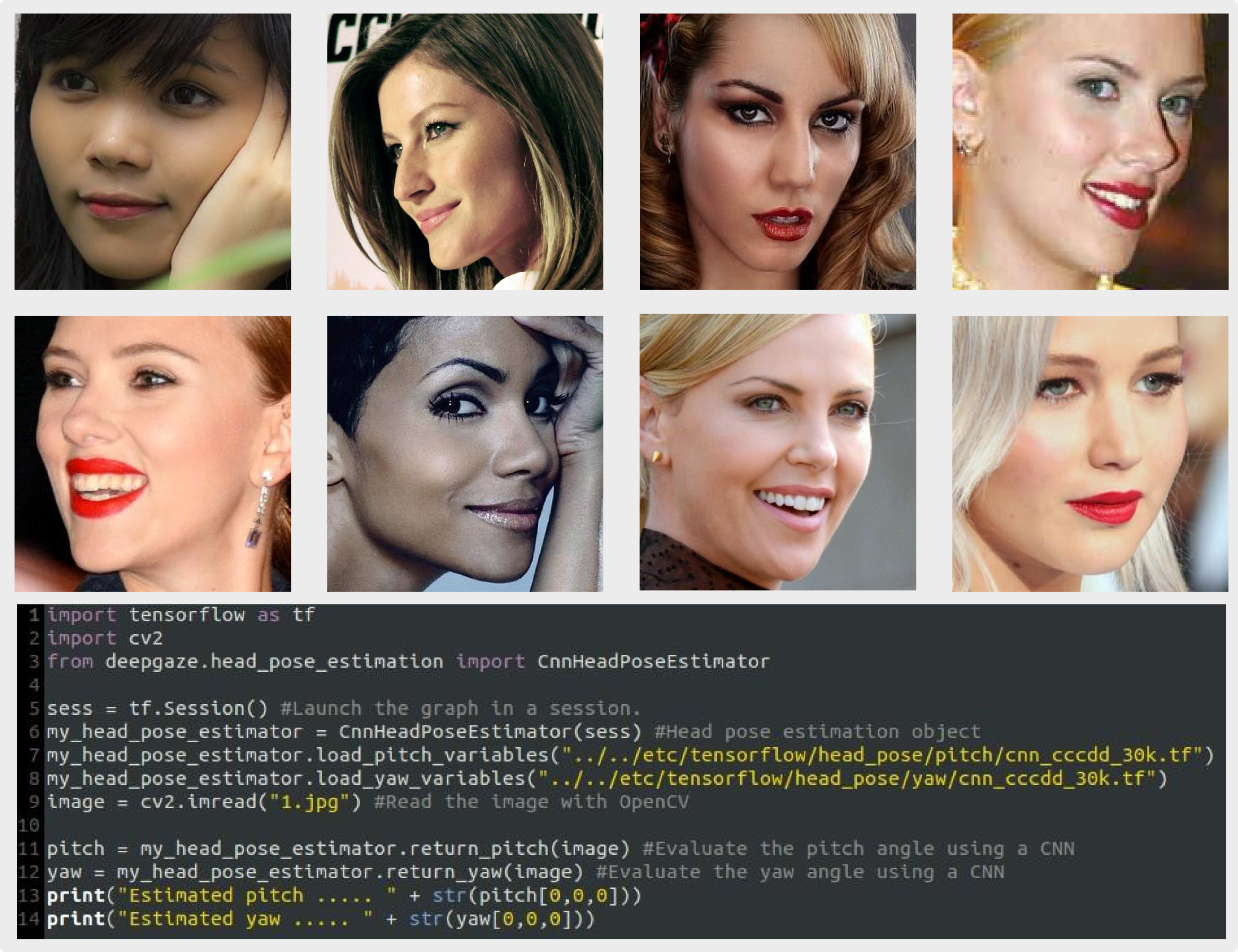 ex_cnn_head_pose_estimation_images.png