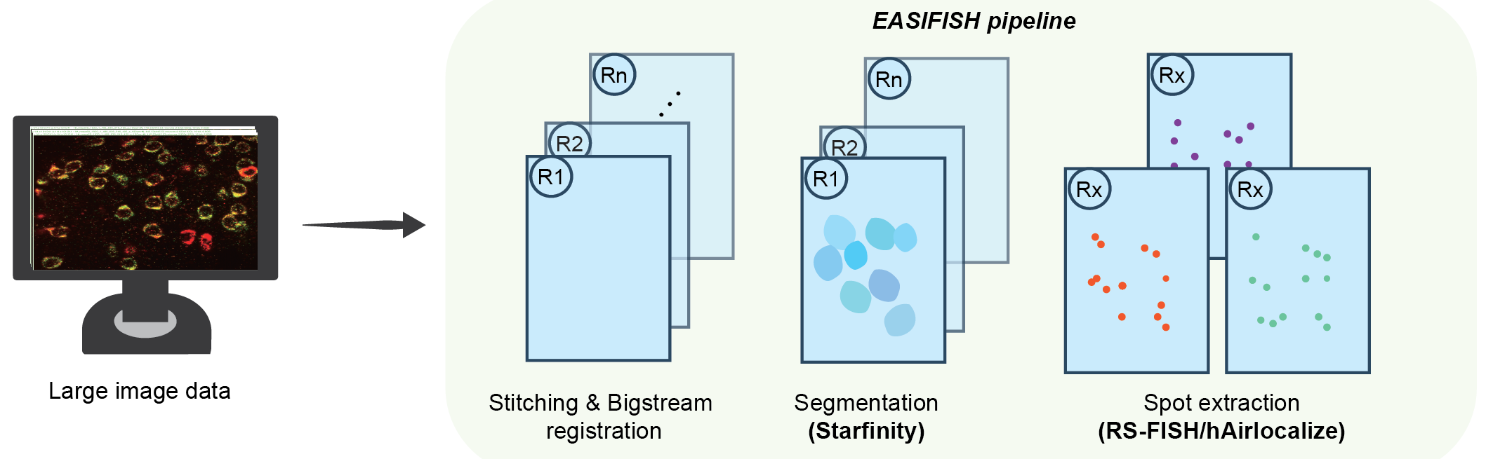 3DseqFISH_diagram_v1_EASIFISH.png