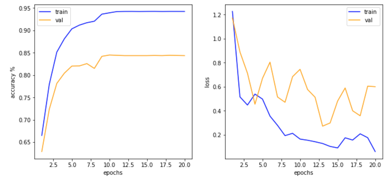 training_curves.png